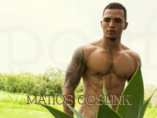 MATIUS_COSLINK