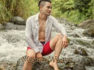 MagnusWayne