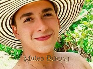 Mateo_Bunny