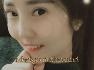 Meetyouinthewind