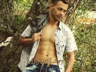 MiguelLarry
