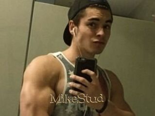 MikeStud