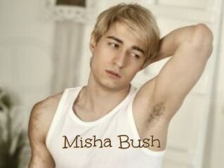 Misha_Bush