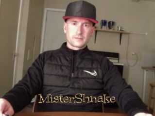 MisterShnake