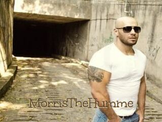 MorrisTheHumme