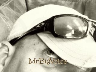MrBigVoice