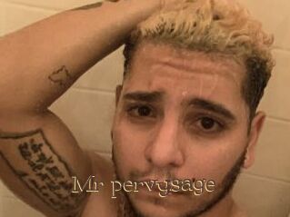 Mr_pervysage Porno FR