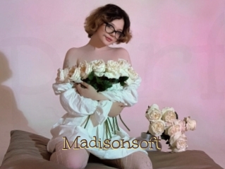Madisonsoft