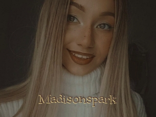 Madisonspark