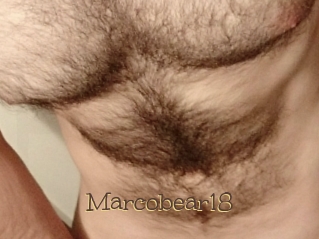 Marcobear18