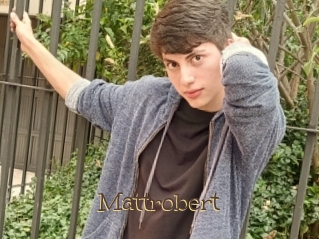 Mattrobert