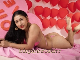 Megannfosterr