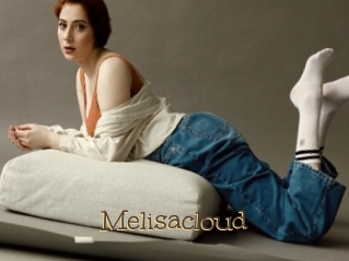 Melisacloud