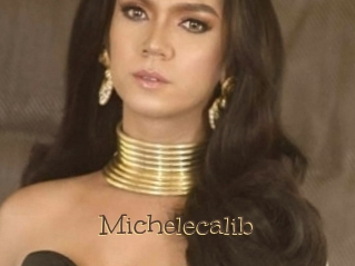 Michelecalib