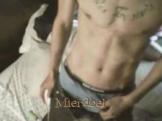 Mierdoel