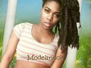 Modelmook