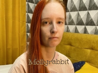 Mollyrabbit