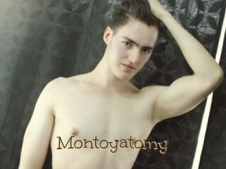 Montoyatomy