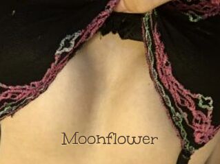 Moonflower