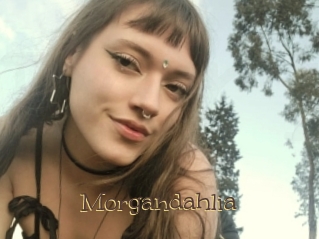 Morgandahlia