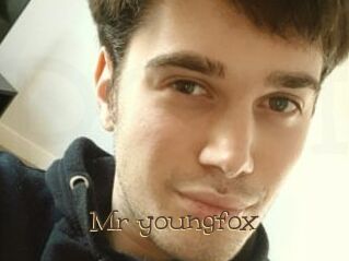 Mr_youngfox