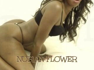 NUBIAN_FLOWER