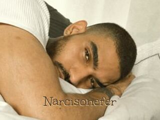 Narcisonefer