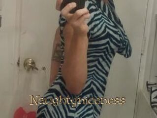 Naughtyniceness