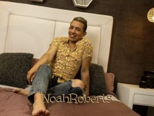 NoahRoberts