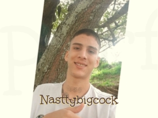Nasttybigcock
