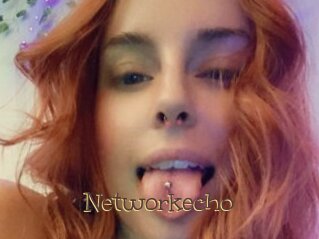 Networkecho