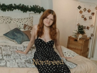 Norareed