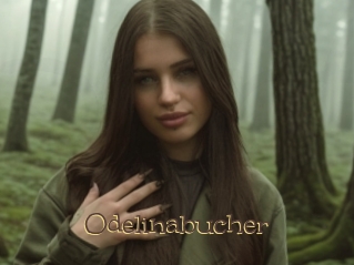 Odelinabucher