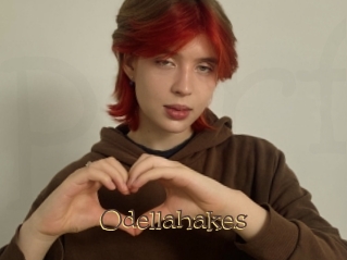 Odellahakes