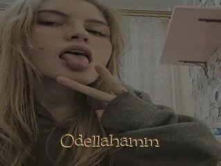 Odellahamm