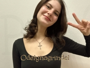 Odelynagrindel