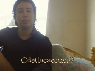 Odettacaecus19
