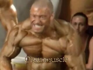 Oigan_muscle