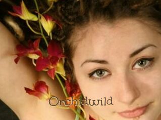 Orchidwild