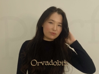 Orvadobiz
