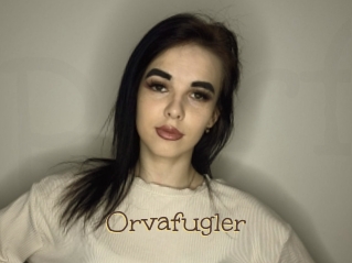 Orvafugler