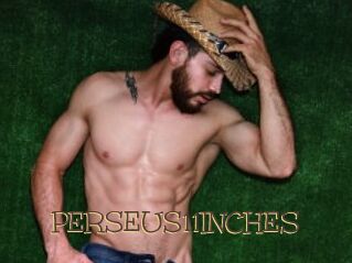 PERSEUS11INCHES