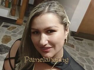 Pamelahorny Porno FR