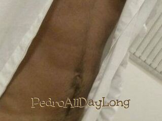 PedroAllDayLong