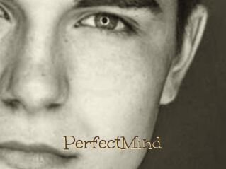 PerfectMind Porno FR