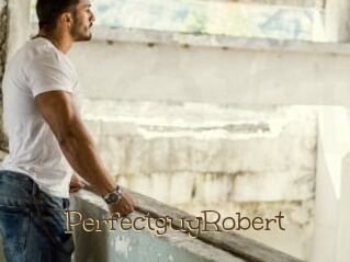 PerfectguyRobert