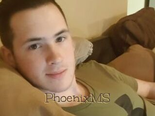PhoenixMS