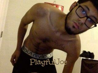 PlayfulJoe