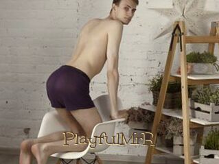 PlayfulMrR