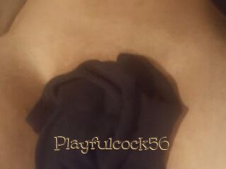 Playfulcock56